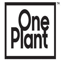 One Plant – Bradford