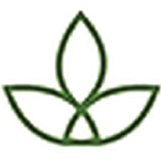 Dundas Cannabis