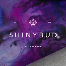 ShinyBud – Windsor